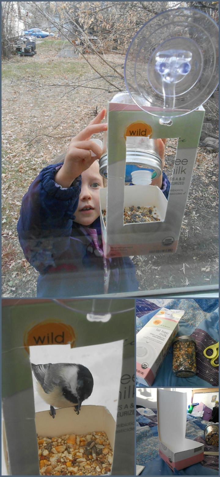 DIY Window Bird Feeder - diy birdfeeder | diy birdfeeder for kids | diy birdfeeders homemade | diy birdfeeder hanger