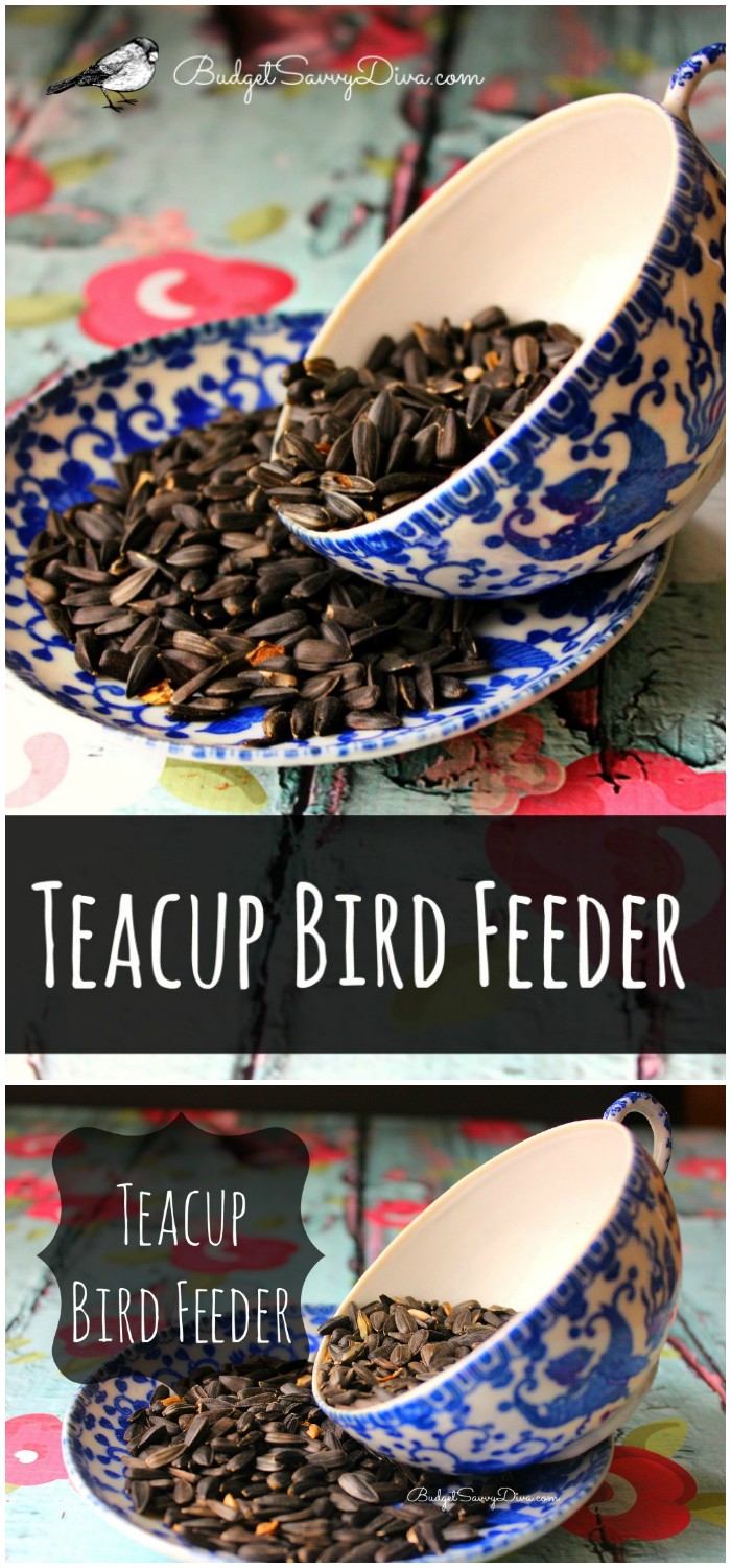 diy birdfeeder | diy birdfeeder for kids | diy birdfeeders homemade | diy birdfeeder hanger