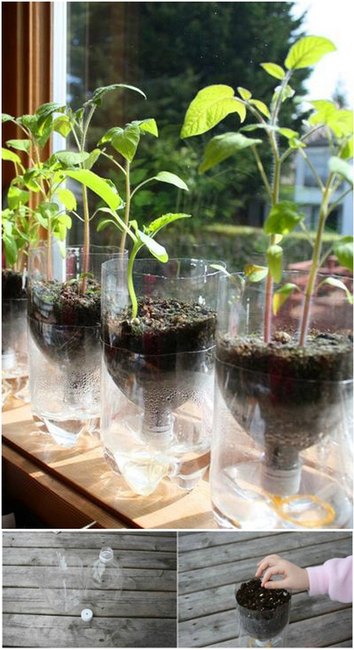 bottle plant pots