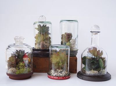 Upcycle DIY Wine Bottles to Terrarium Wonderlands Idea