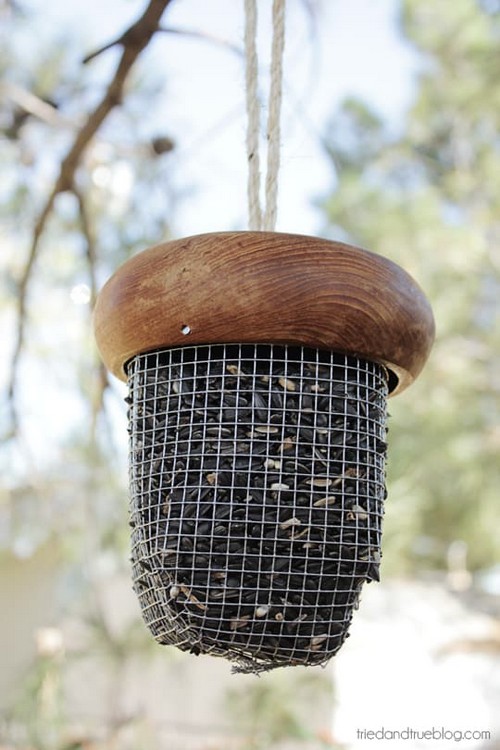 Acorn Bird Feeder