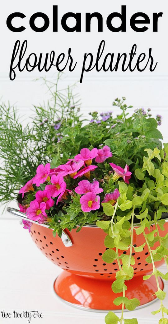 Colander Flower Planter