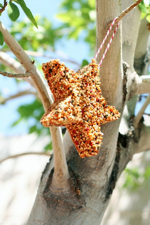 Cute Star Bird Feeder