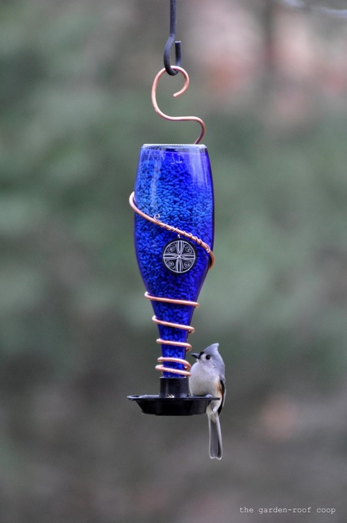 DIY Glass Bottle Bird Feeders