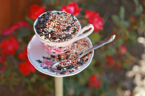 DIY Teacup Bird Feeder