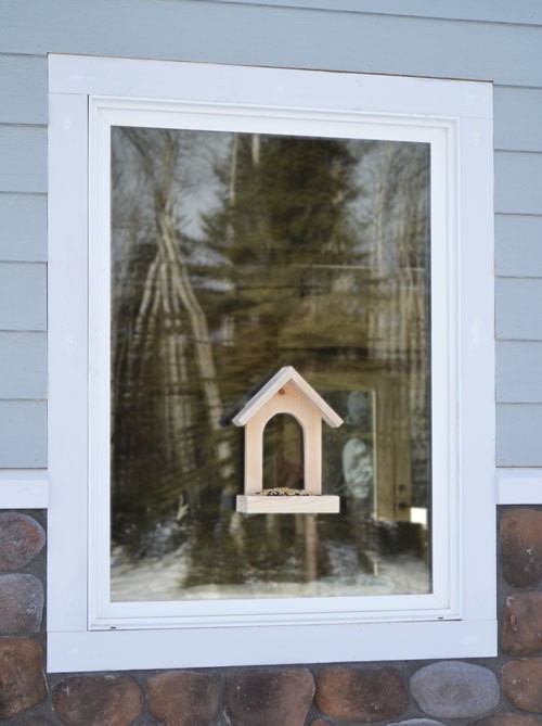 DIY Window Birdfeeder