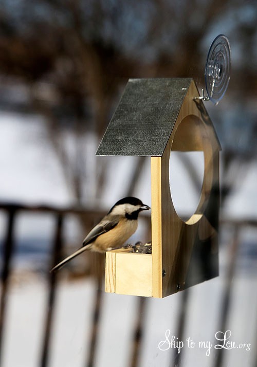 DIY Wooden Bird Feeder