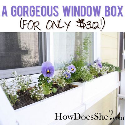 Gorgeous DIY Window Box Idea