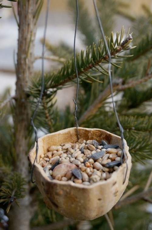 How To Make A Hanging Gourd Bird Feeder