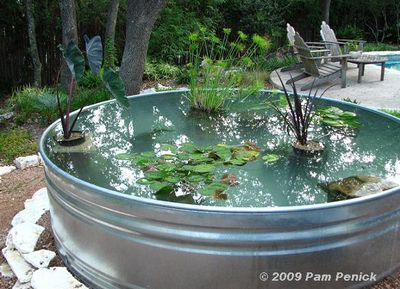 Make A DIY Container Pond In A Stock Tank