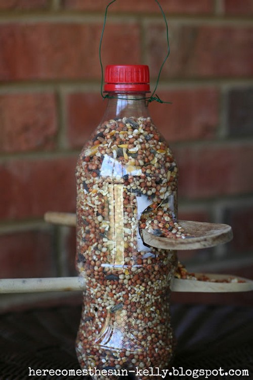 Soda Bottle Bird Feeder