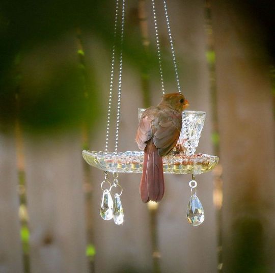 Teacup Hanging Feeders