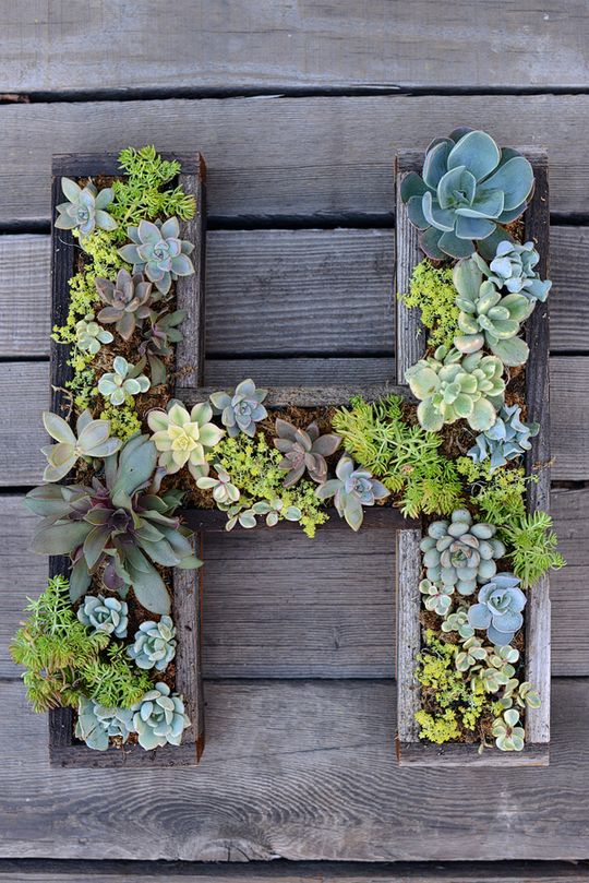 Wall-Mounted Succulent Letter DIY