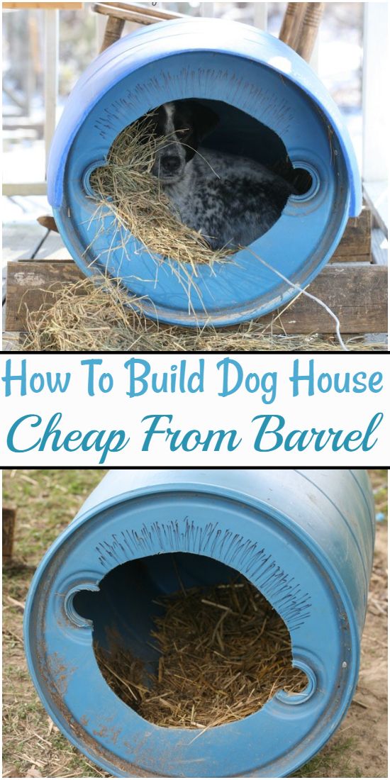 41 Free Handmade DIY Dog House Plans • DIY & Crafts