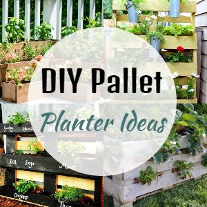 DIY Pallet Planter Ideas