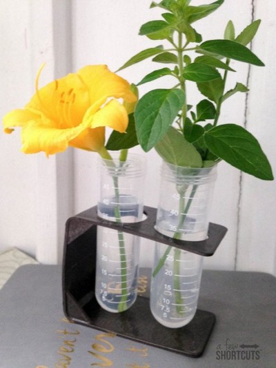 DIY Test Tube Vase