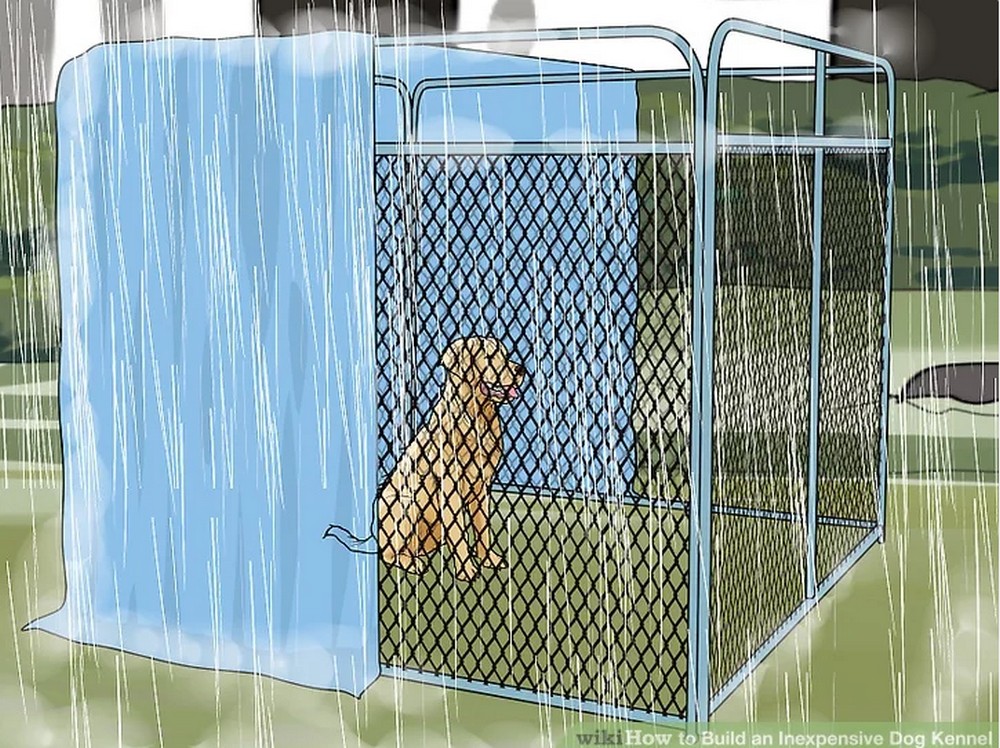 Outdoor puppy outlet pen ideas