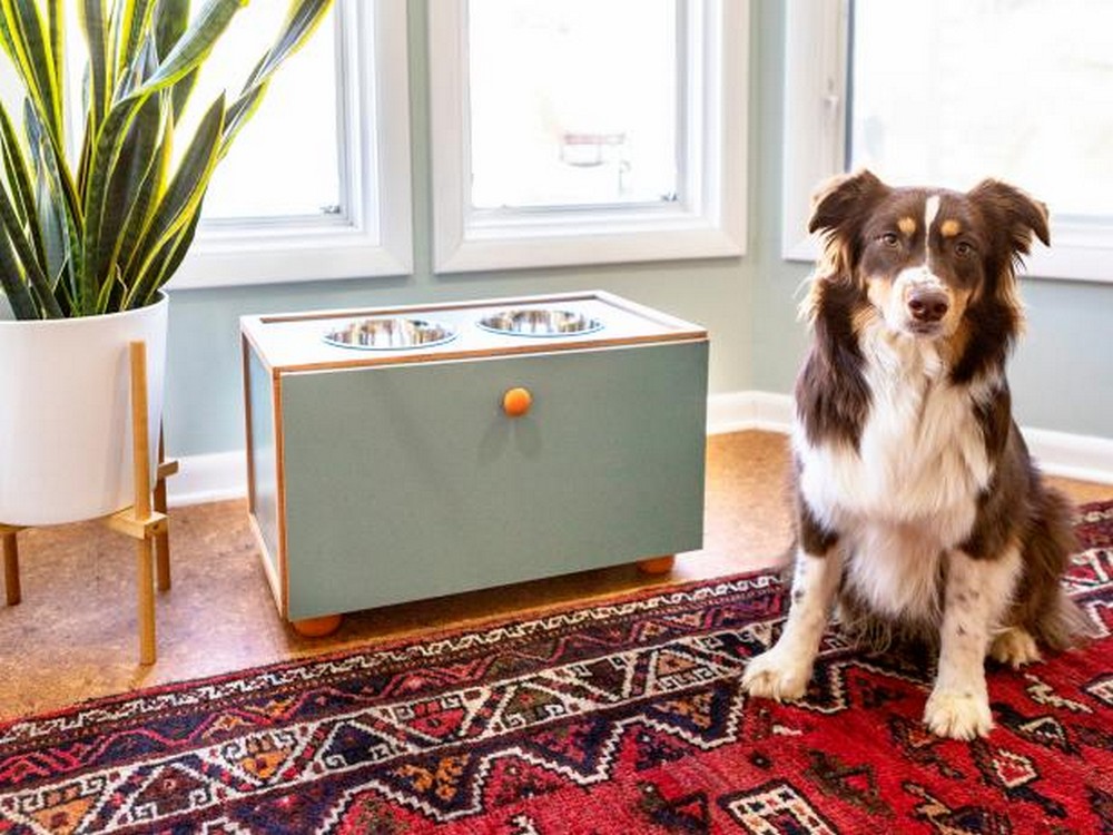 DIY Elevated Dog Feeding Station With Built-in Storage