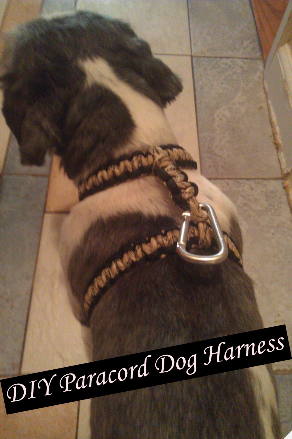 DIY Paracord Dog Harness