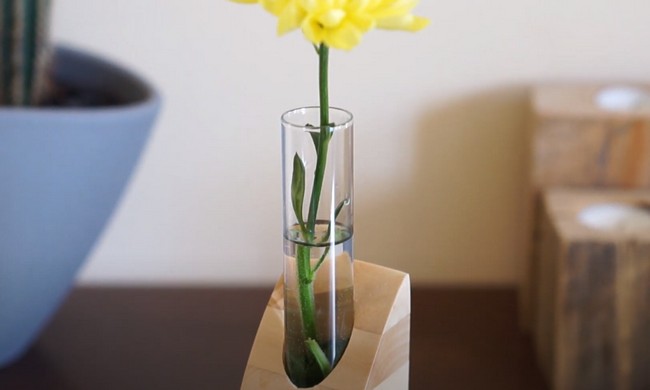 DIY Test Tube Vase With Wooden Base