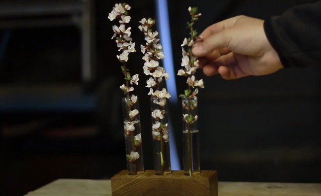 Test Tube Vase Out Of Recycled Oak