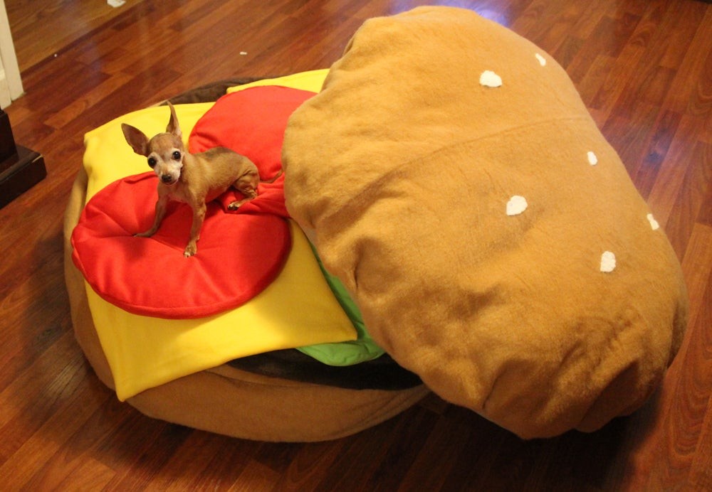 DIY Hamburger Bean Bag