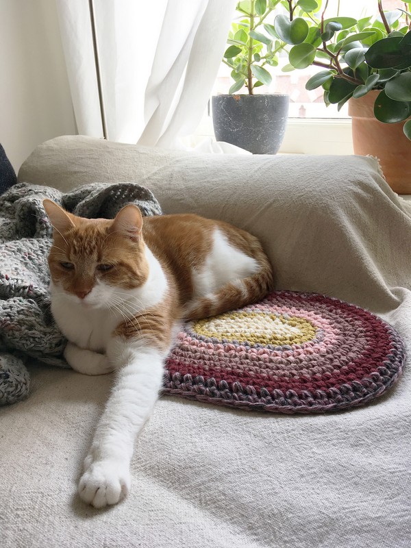 Free Crochet Katzie's Bed Pattern