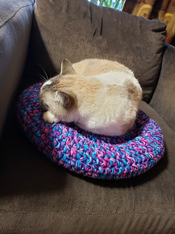 Free Crochet Padded Cat Bed Pattern