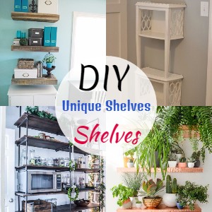 DIY Unique Shelves 1