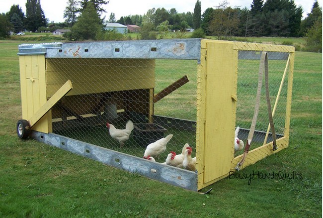 Chicken Tractor