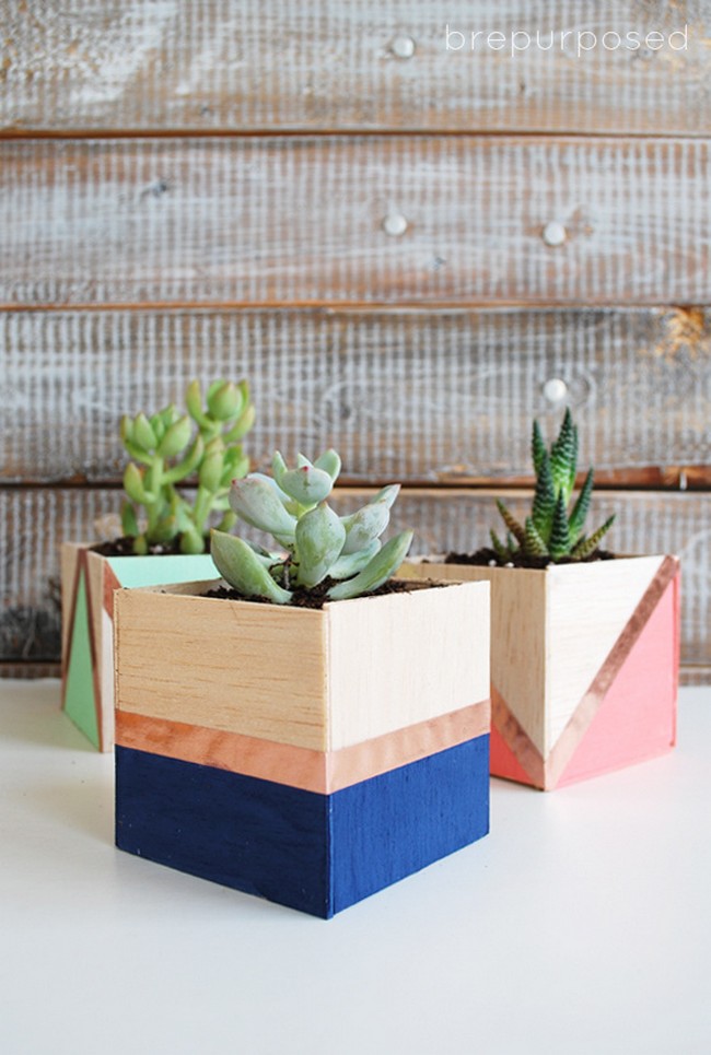 DIY Balsa Wood Planters