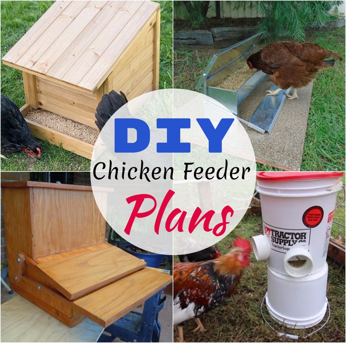 DIY Chicken Feeder Plans 1