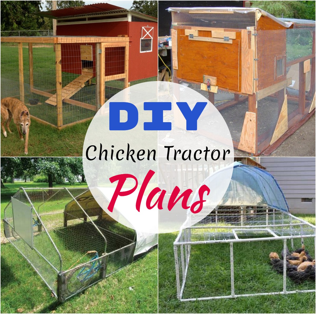 DIY Chicken Tractor Plans 1