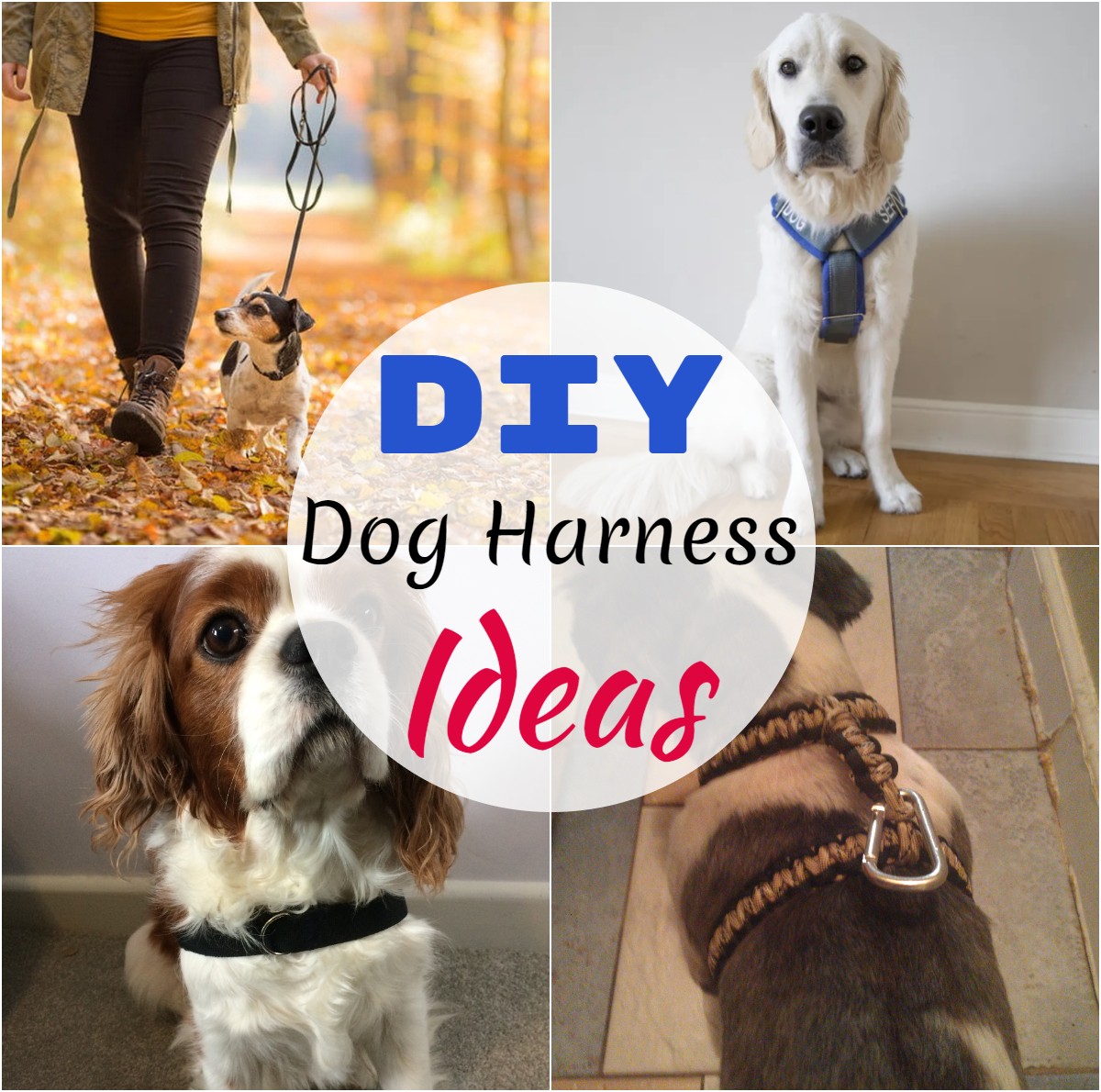 DIY Dog Harness ideas