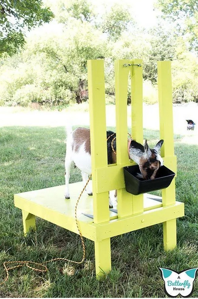 DIY Goat Milking Stand