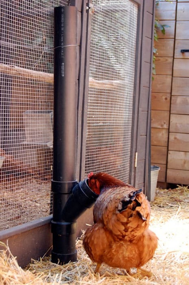 15 DIY Chicken Feeder Plans You Can Build Easily DIYnCrafty   DIY No Spill Chicken Feeder 