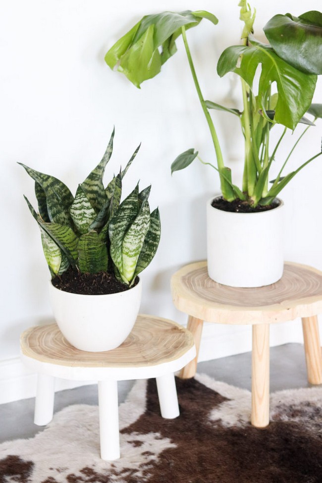 DIY Plant Stands From Wood