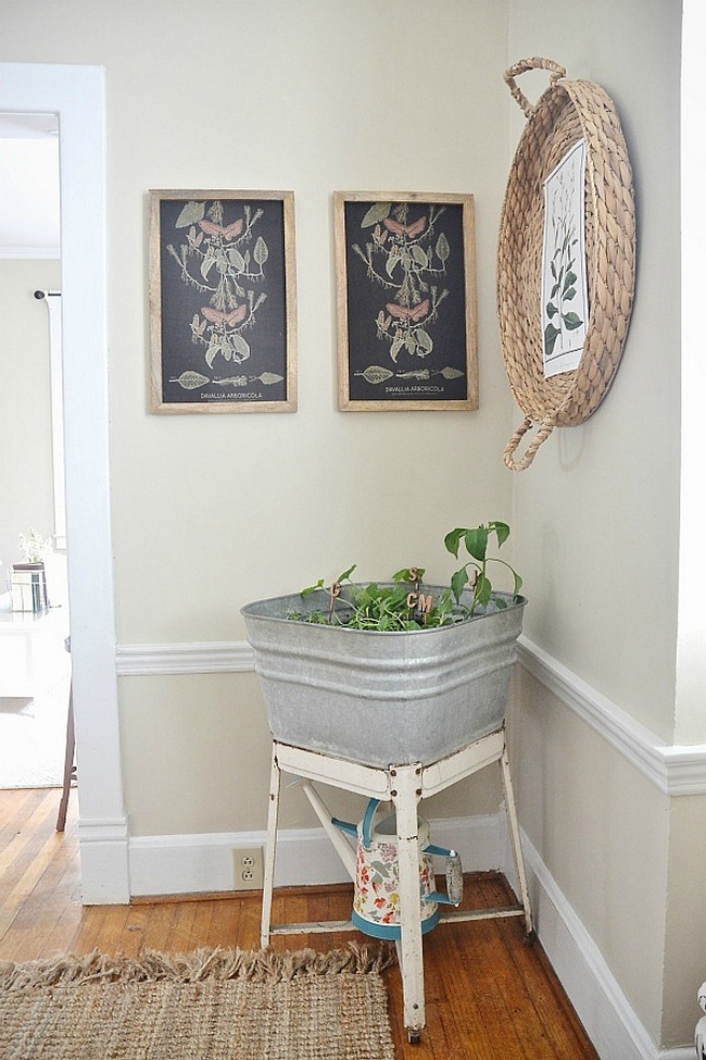 DIY Wash Tub Garden