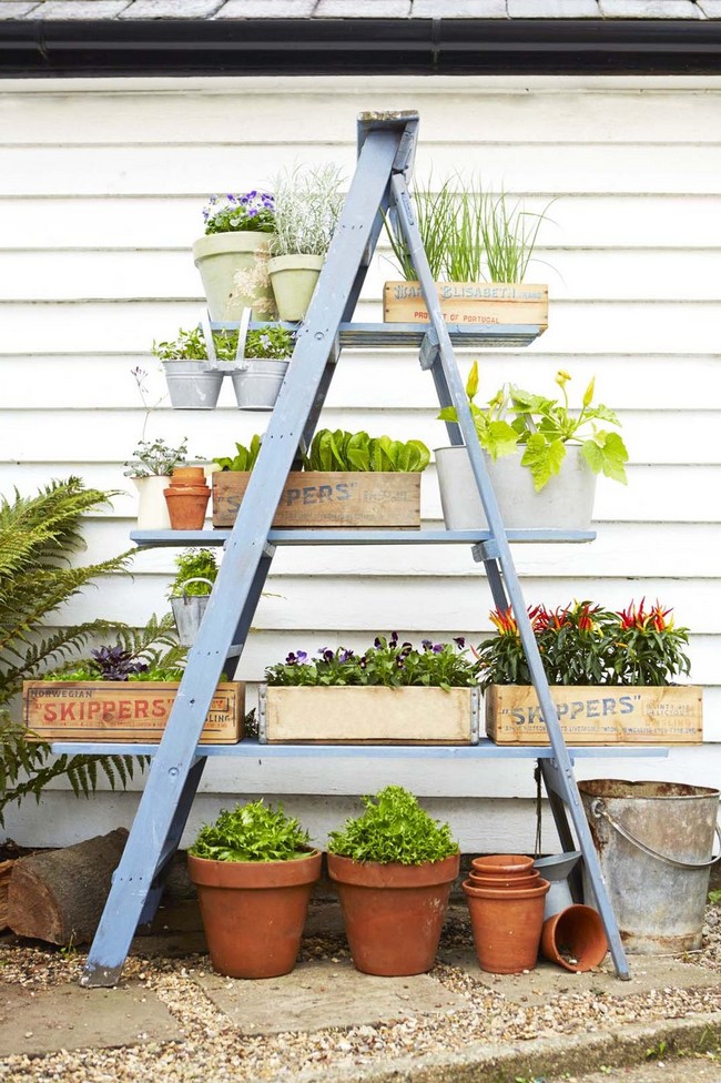 Ladder Planter