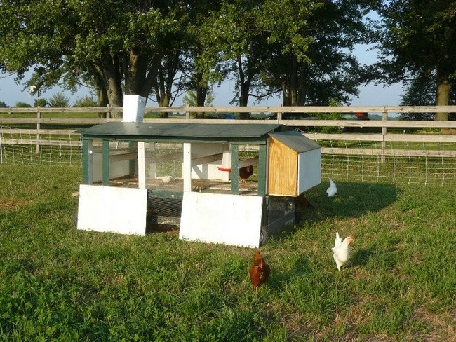 Large Tractor and Coop