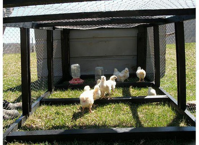 Tractor and Coop With Wheels