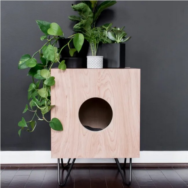 Best DIY Little Cat House