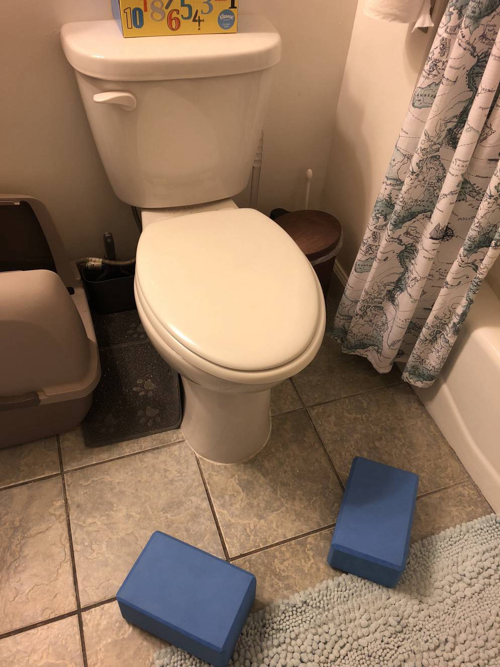 22 Diy Squatty Potty Ideas To Squat Easily Diyncrafty