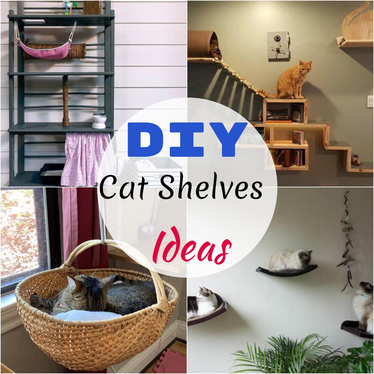 DIY Cat Shelves Ideas 2