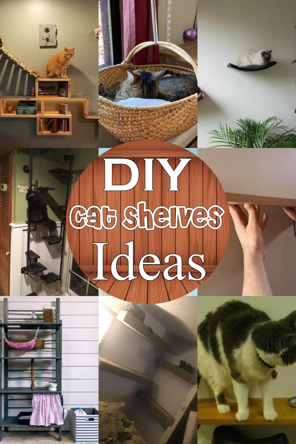 DIY Cat Shelves Ideas