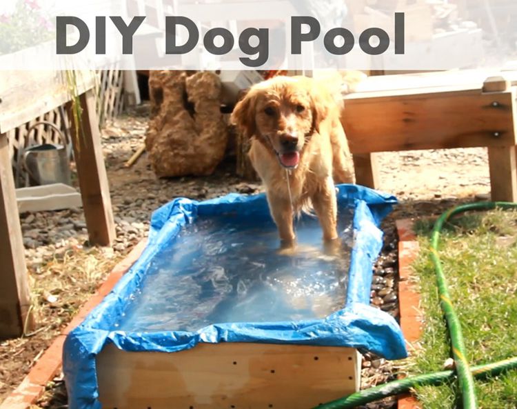 DIY Dog Pool