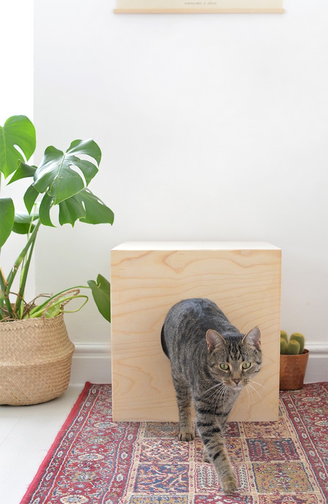 How To Build Wooden Cat Bed