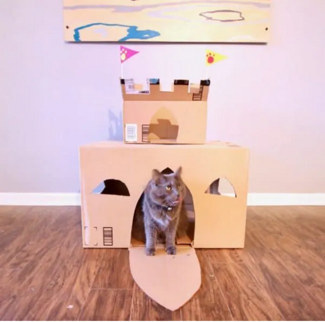 How to Build A Cat Castle