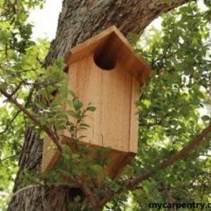 19 DIY Owl House Plans