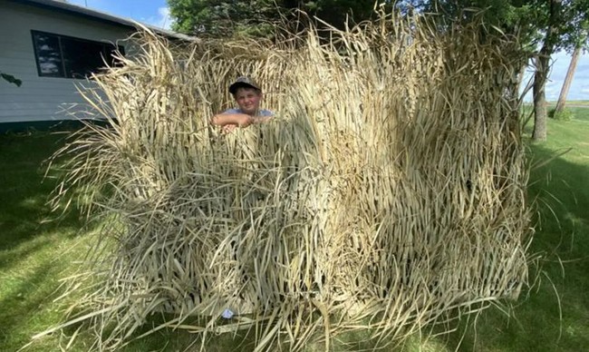 A-Frame Duck Blind